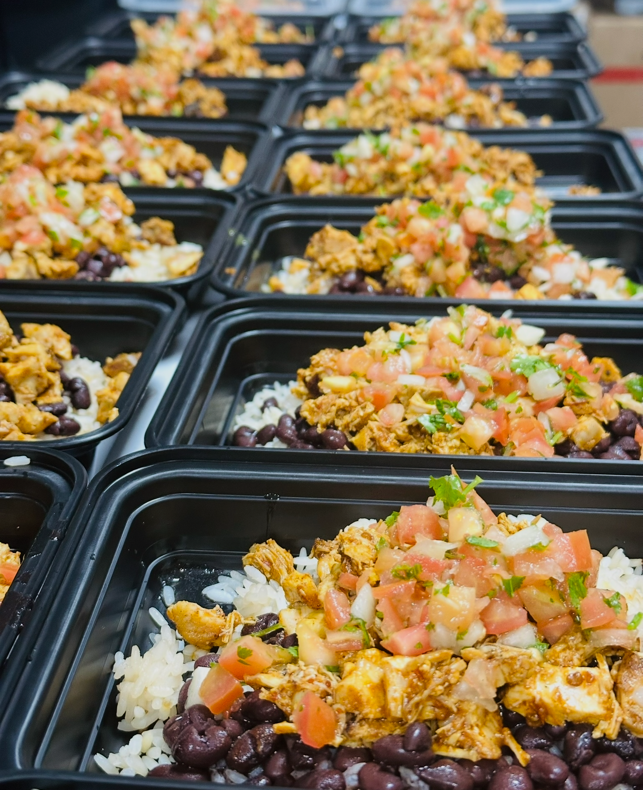 Beef Birria Burrito Bowl